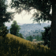 Image: Steam (sam0ne)